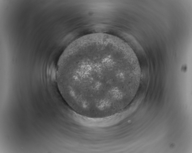 X0000102530046200808221915