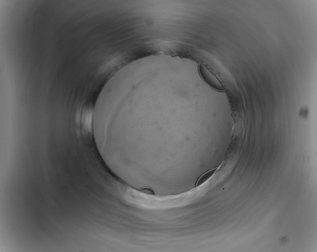 X0000102530047200808221915