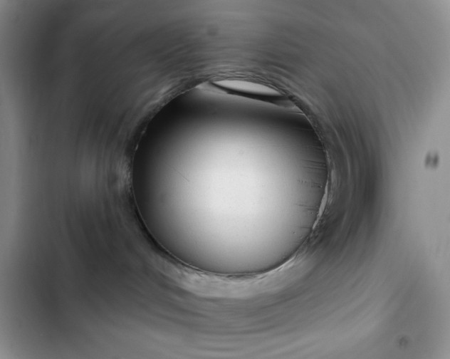 X0000102530048200808221915