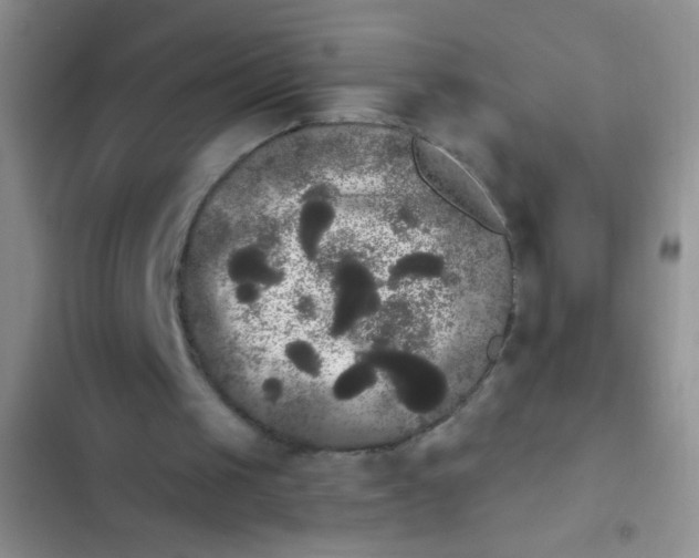 X0000102530049200808221915