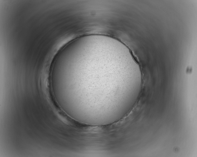 X0000102530050200808221915