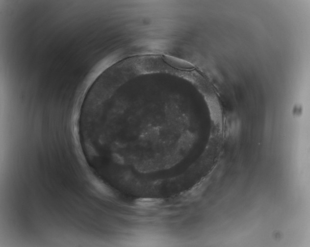 X0000102530051200808221915