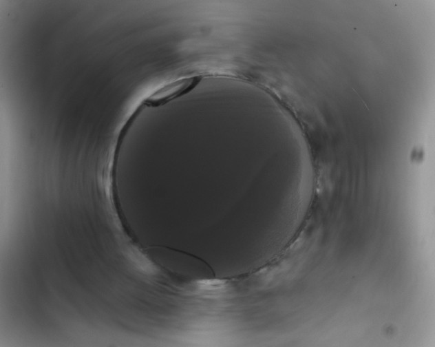 X0000102530052200808221915