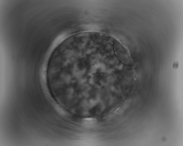 X0000102530053200808221915