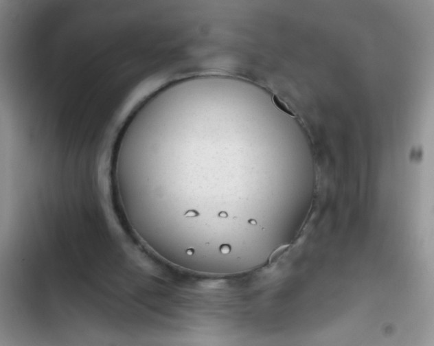 X0000102530054200808221915