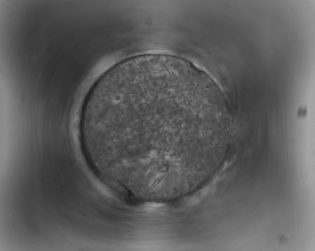 X0000102530055200808221915