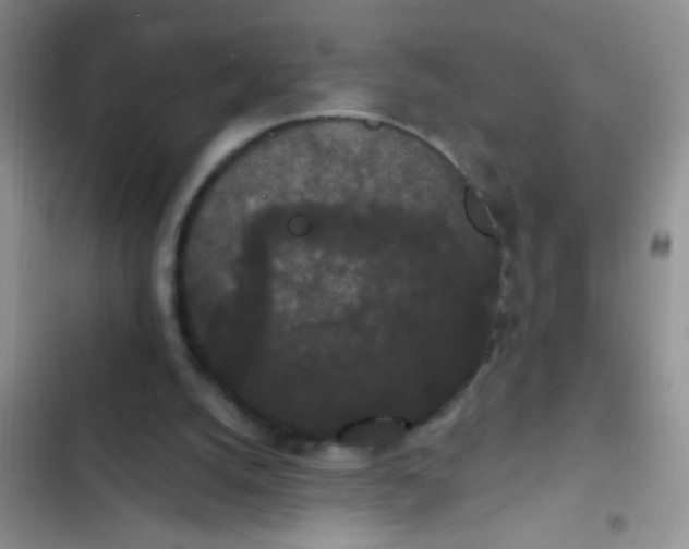 X0000102530056200808221915