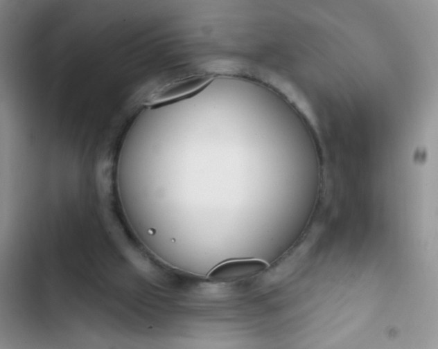 X0000102530057200808221915