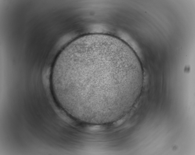 X0000102530058200808221915