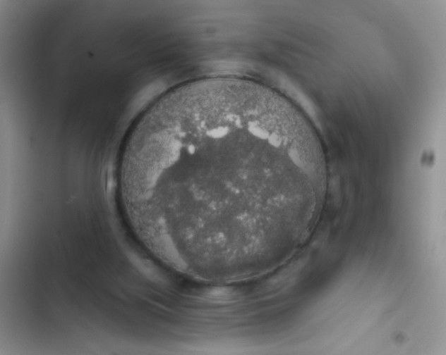 X0000102530059200808221915