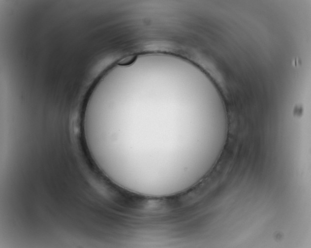 X0000102530060200808221915