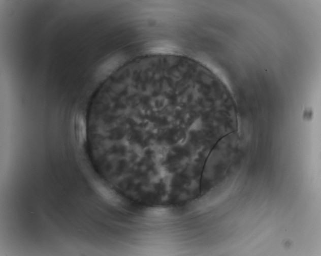 X0000102530061200808221915