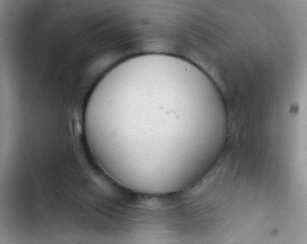 X0000102530062200808221915