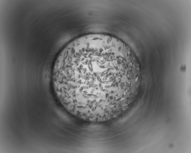 X0000102530063200808221915