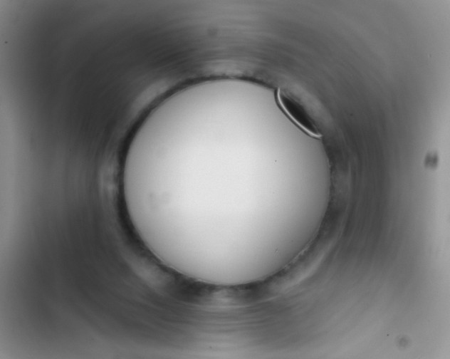 X0000102530064200808221915