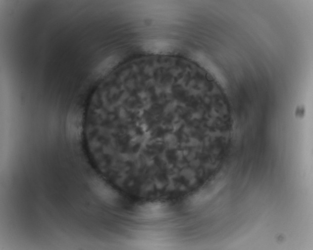 X0000102530065200808221915