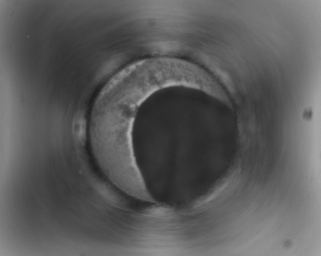 X0000102530067200808221915