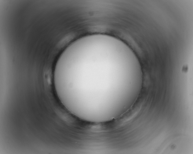 X0000102530068200808221915