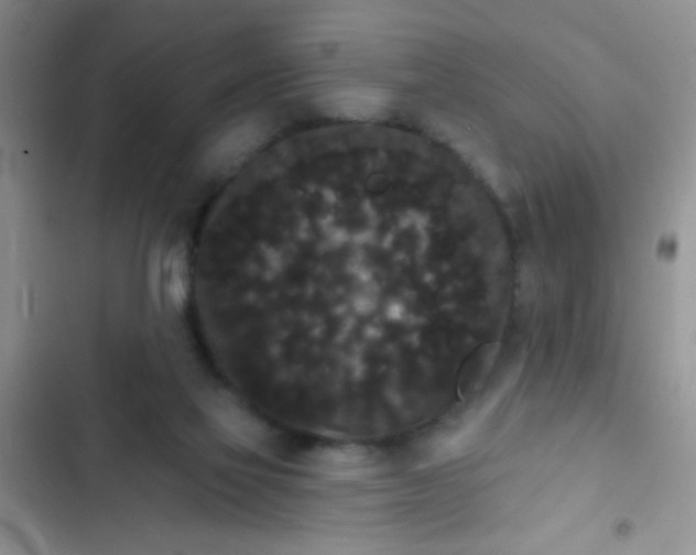 X0000102530069200808221915