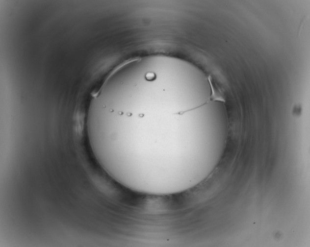 X0000102530070200808221915