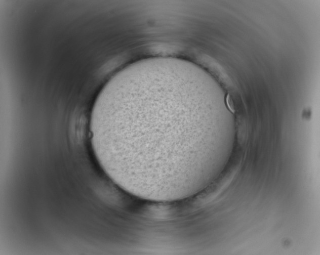 X0000102530071200808221915