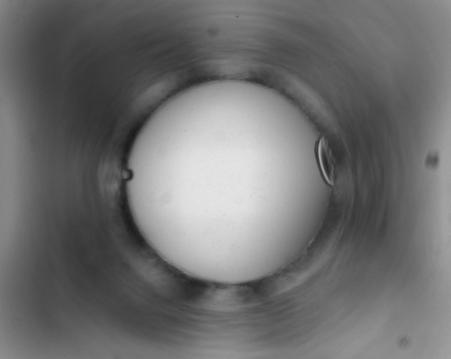 X0000102530072200808221915