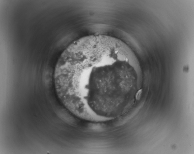 X0000102530073200808221915