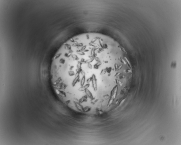 X0000102530074200808221915