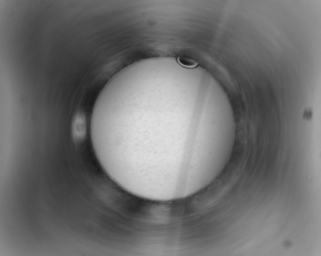 X0000102530075200808221915