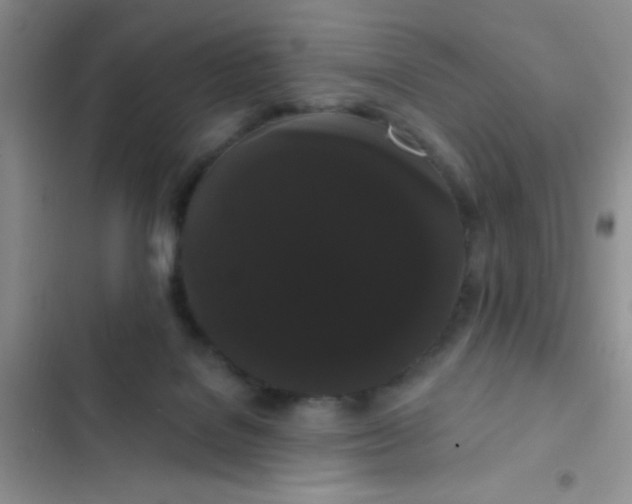 X0000102530076200808221915