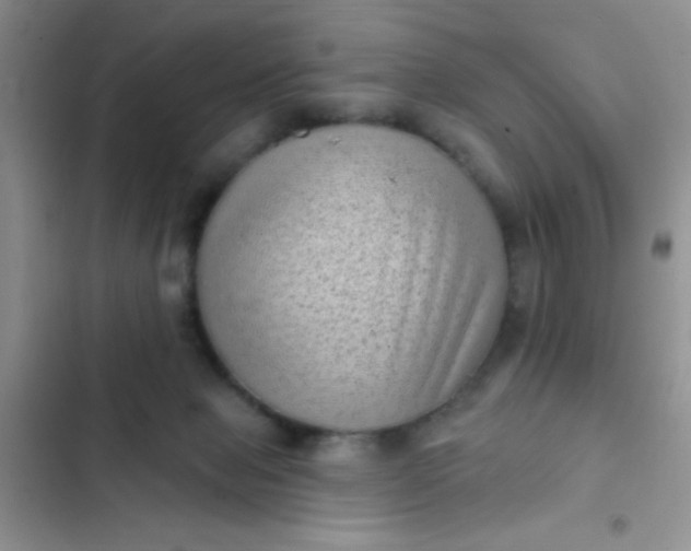 X0000102530077200808221915