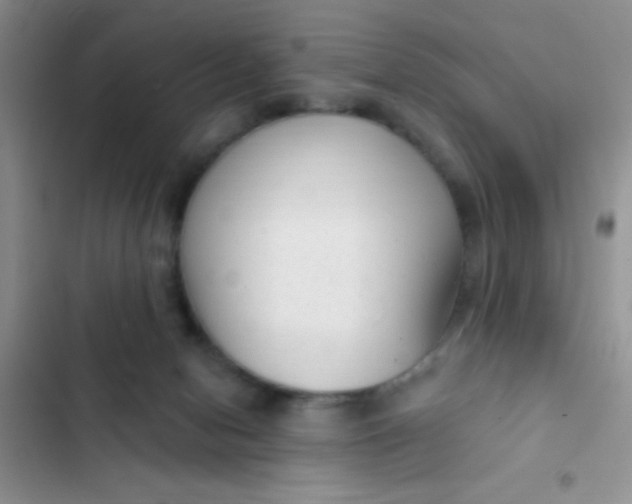 X0000102530078200808221915