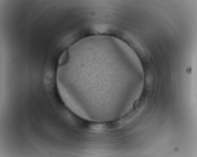 X0000102530079200808221915