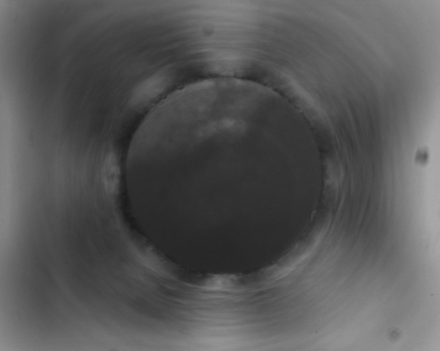 X0000102530080200808221915