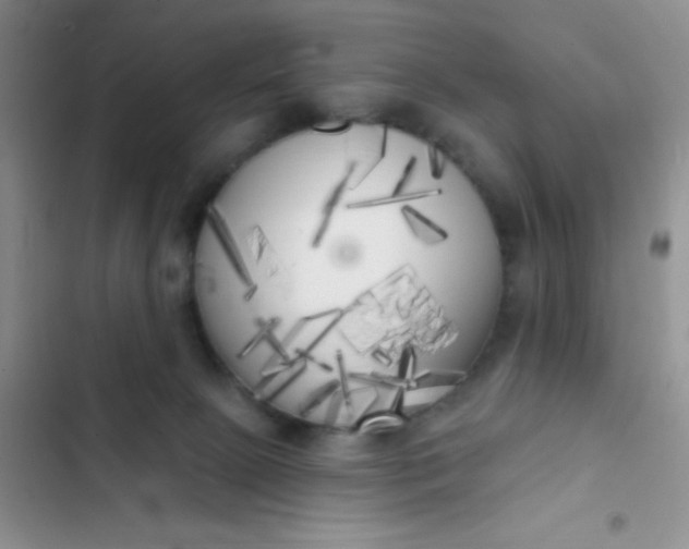 X0000102530081200808221915