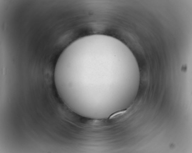 X0000102530082200808221915