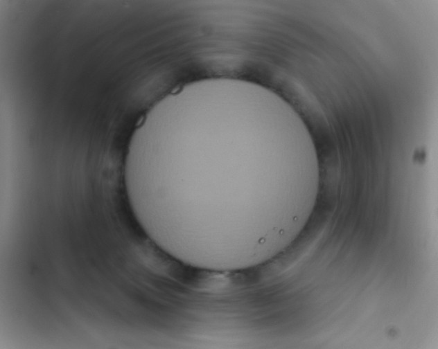 X0000102530083200808221915