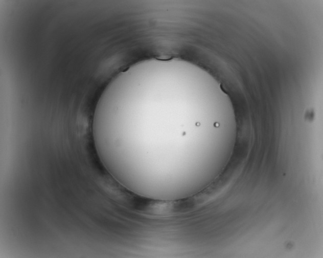 X0000102530084200808221915