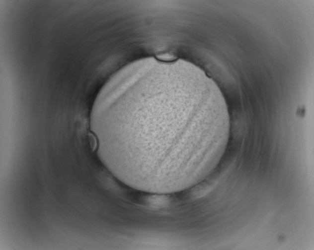 X0000102530085200808221915