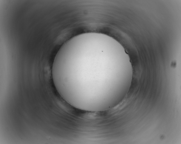 X0000102530086200808221915