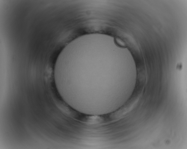 X0000102530087200808221915