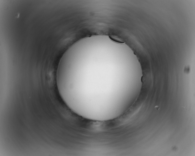 X0000102530088200808221915