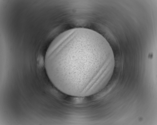 X0000102530089200808221915