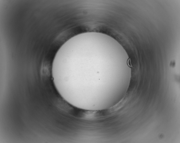 X0000102530090200808221915