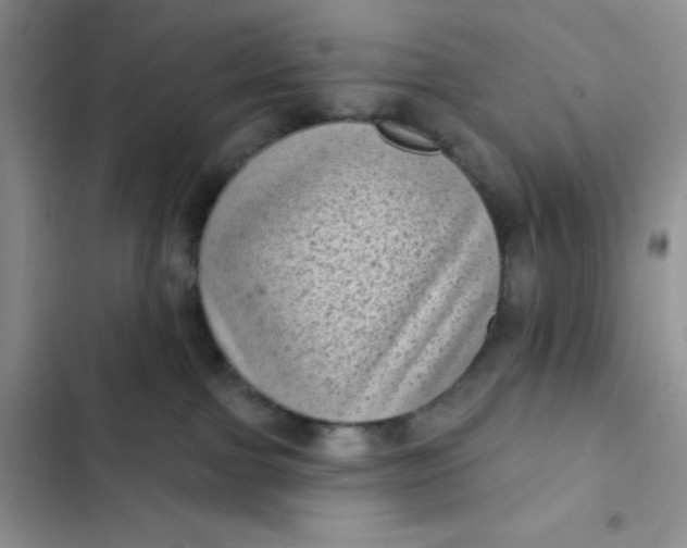 X0000102530091200808221915