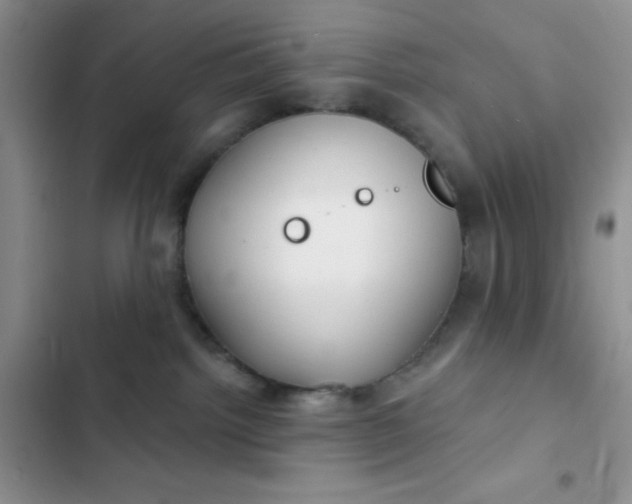 X0000102530092200808221915