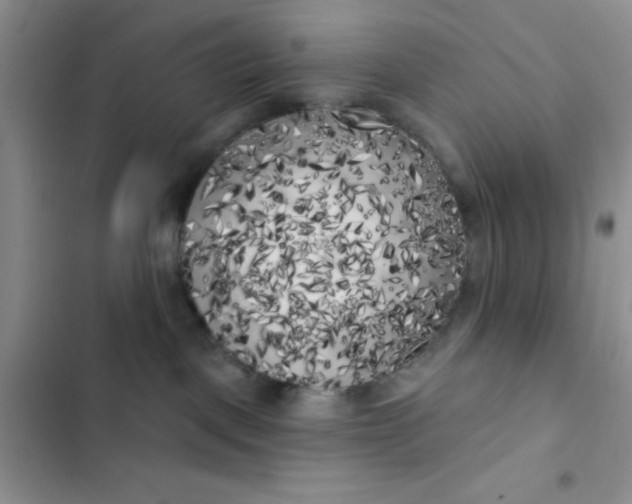 X0000102530093200808221915