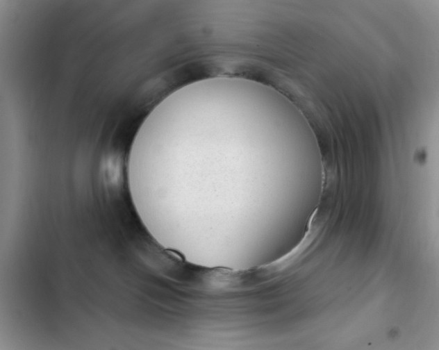 X0000102530094200808221915