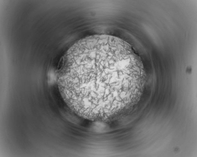 X0000102530095200808221915