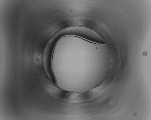 X0000102530096200808221915